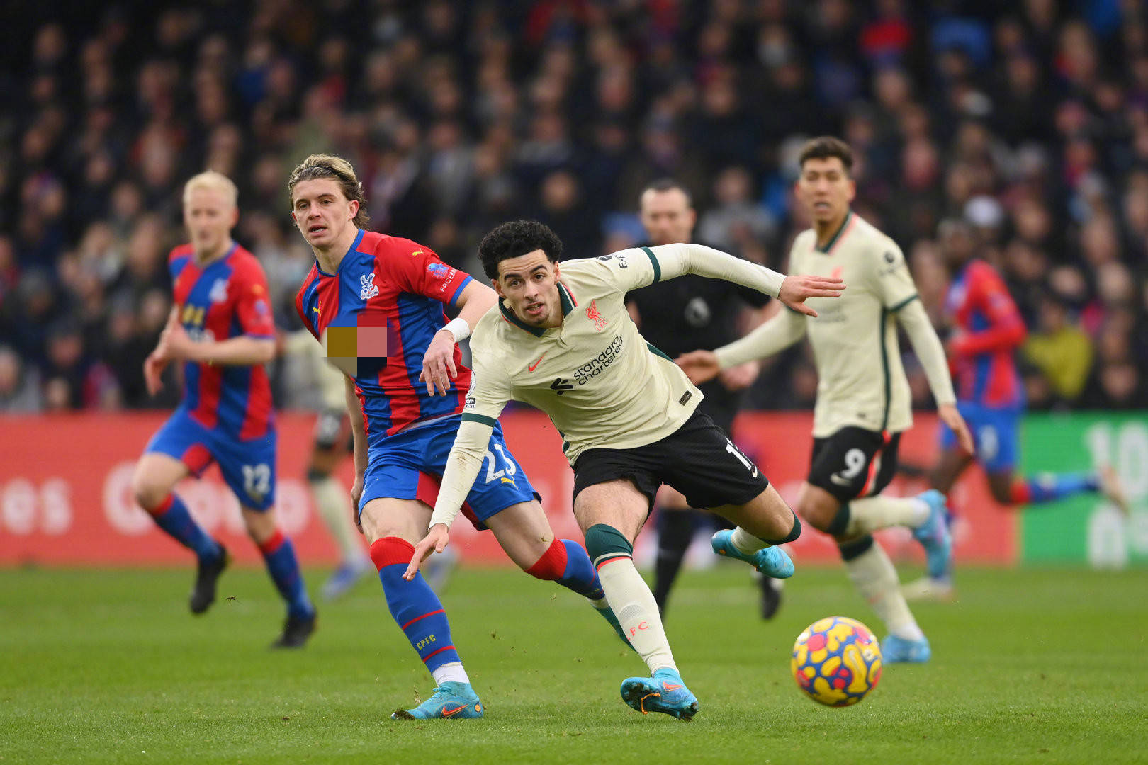 杨的比赛风 杨的比赛风